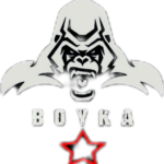 Kikboks klub Boyka Logo